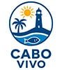 Logo-CaboVivo-002 Site Logo